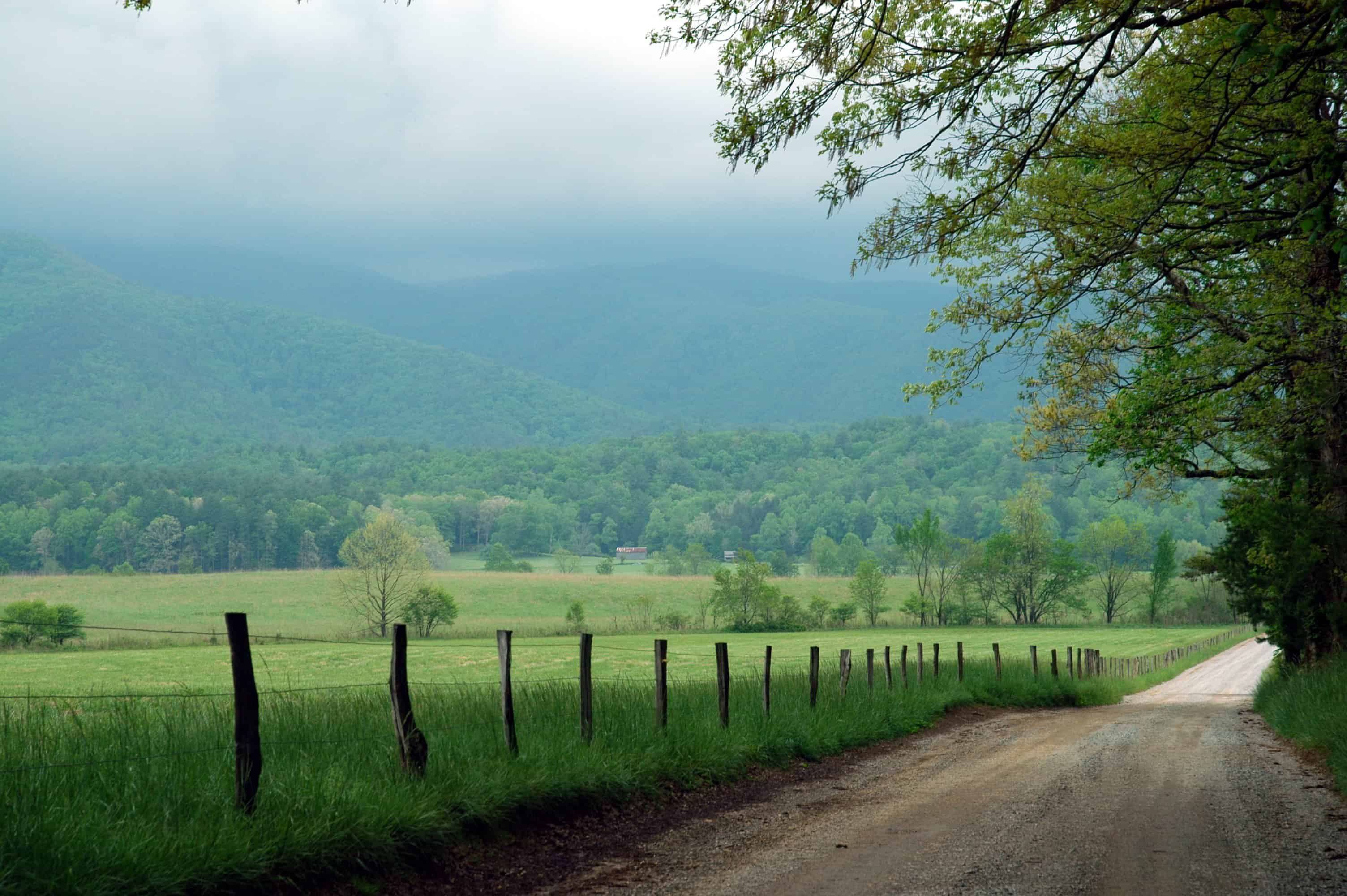 Top 5 Smoky Mountain Scenic Drives You Should Go On