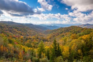 colorful trees in the Smoky Mountains during autumn