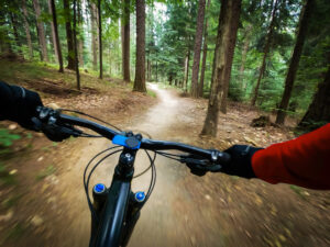 mountain biking in the smoky mountains