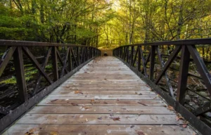 the gatlinburg trail